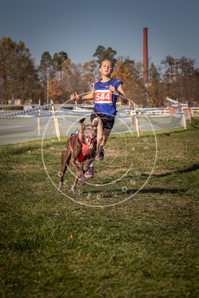 CaniXpix_0L8A7600 | Hundefotografie, Tierfotograf, Pfotenfotografie, Fotoshooting Hund, Hunde Portrait, Hundesport, Hundeportraits, Heideshooting, Hunde, Sportfotograf, Hundefotograf, Turnierhundsport, THS,  - Realisiert mit Pictrs.com