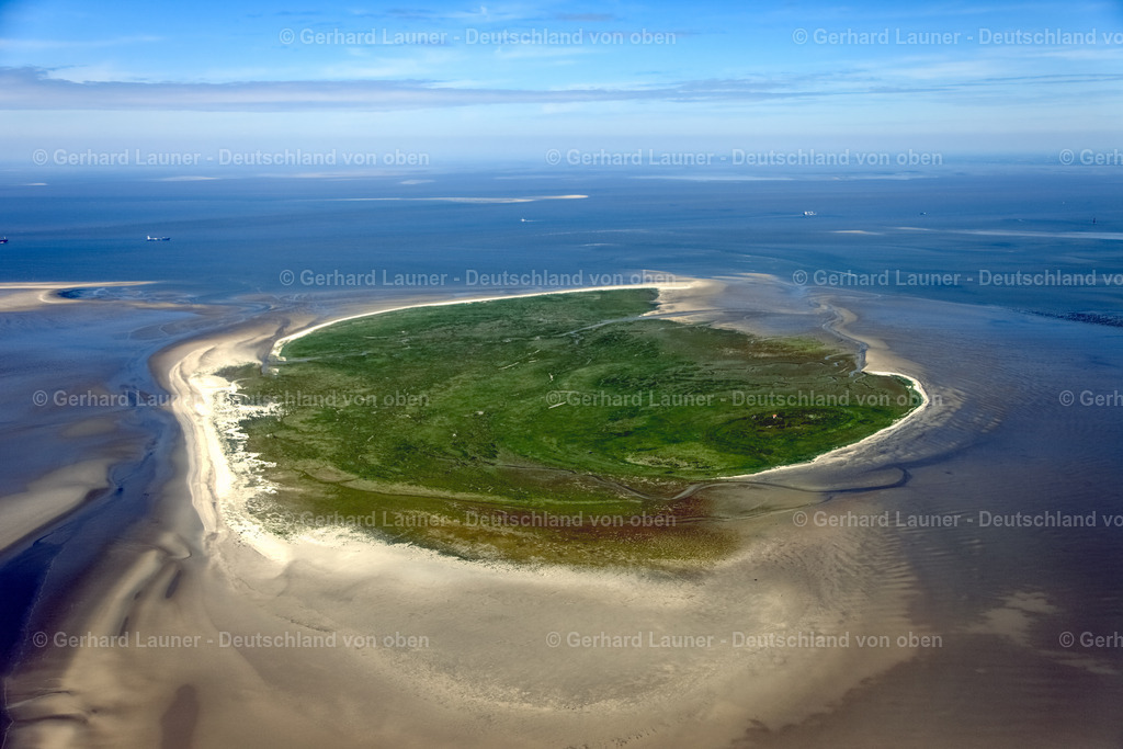 3090354 | Vogelschutzgebiet Mellum Nationalpark Niedersächsisches Wattenmeer