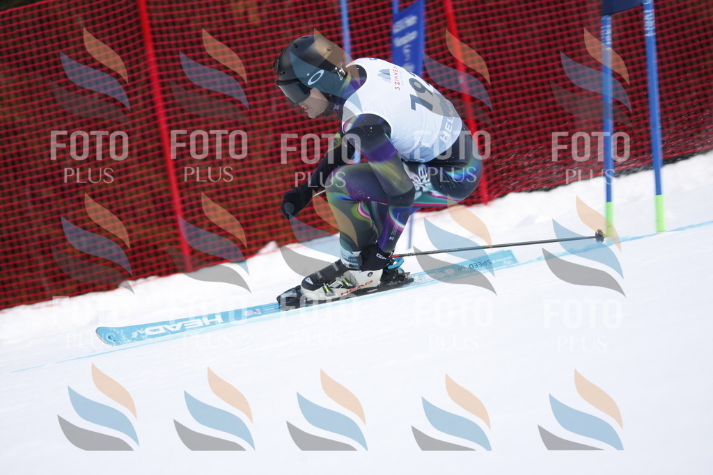 D7907 | holidayphoto