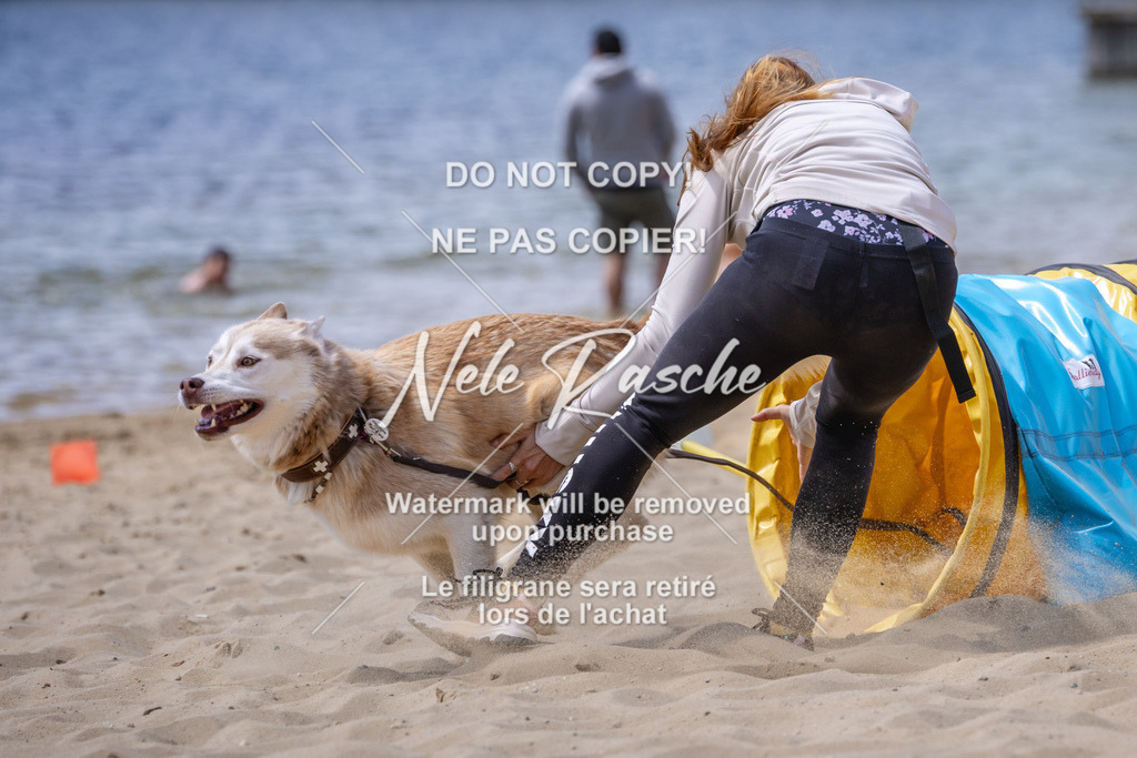 NR__2734 | nelerasche