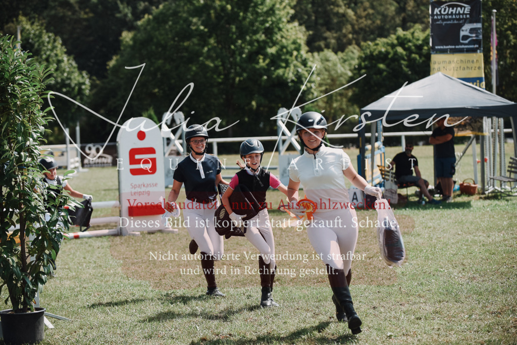 DSC_5915 | Pferde- und Turnierfotografie in Westsachsen. Pferdeportraits, Auftragszeichnungen und intuitive Kunst.