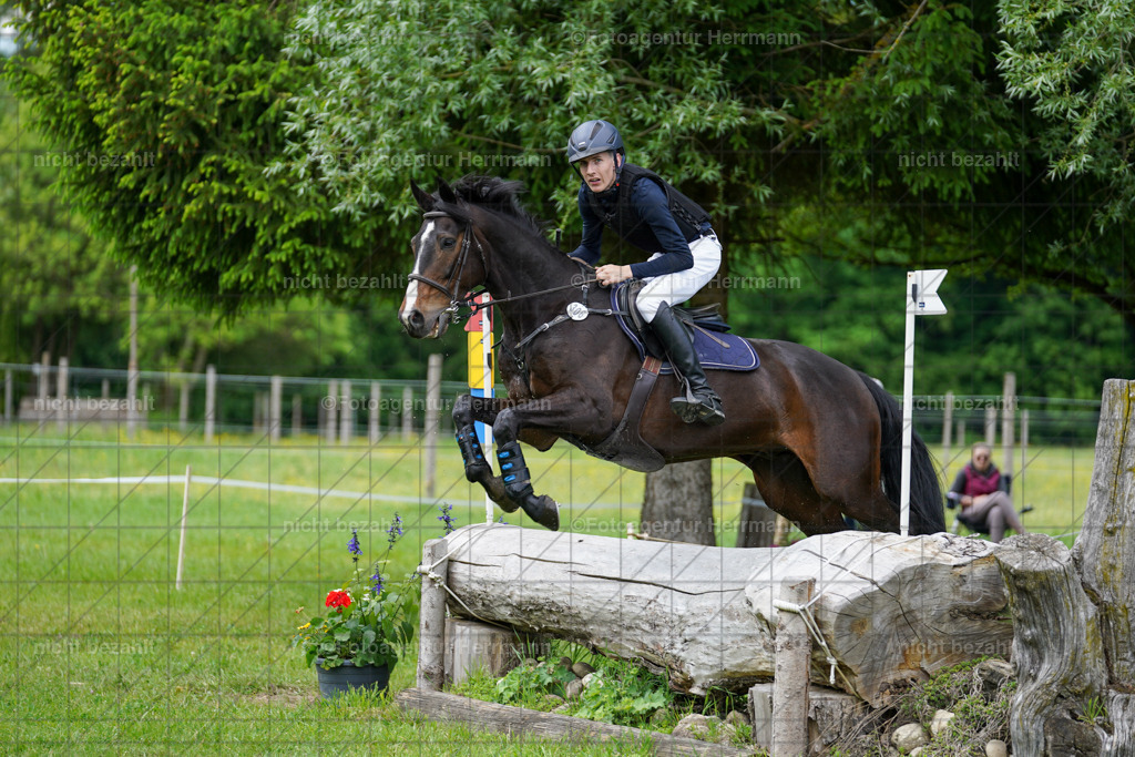 20240518-FAH03868 | Turnierbilder von Niederseon, Turnierfotografen Bayern, Fotoagentur Herrmann, Geländebilder, Reitsportfotografie