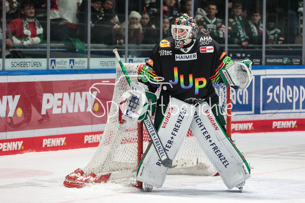 Augsburger Panther - Bietigheim Steelers | Markus KELLER (AEV #35) huetet heute das Tor der Augsburger Panther