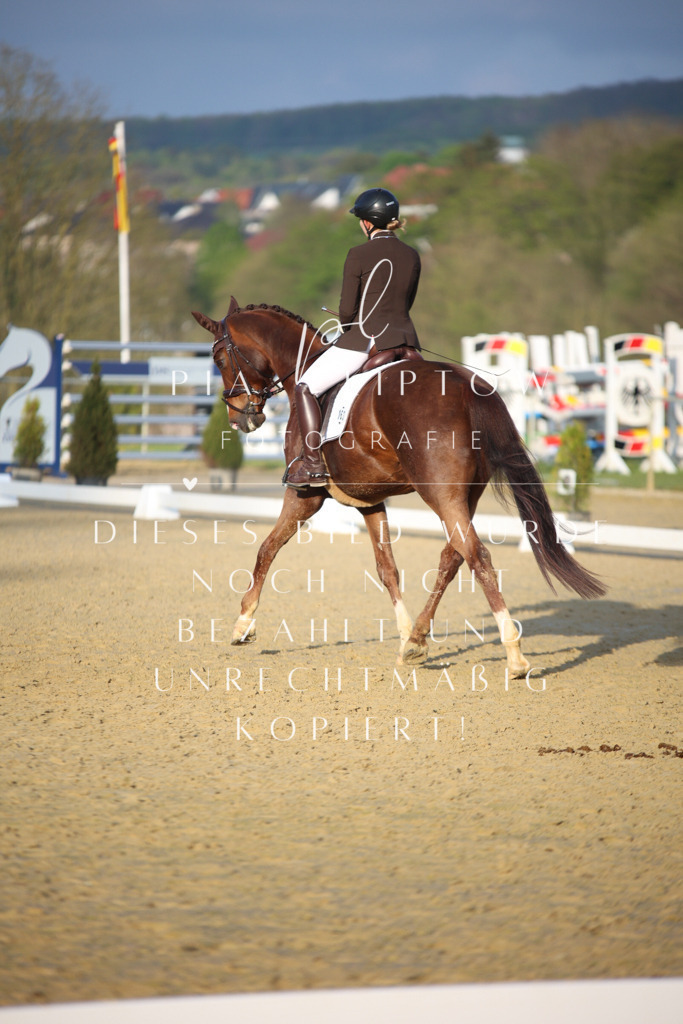 IMGT9149 | pl-fotografie