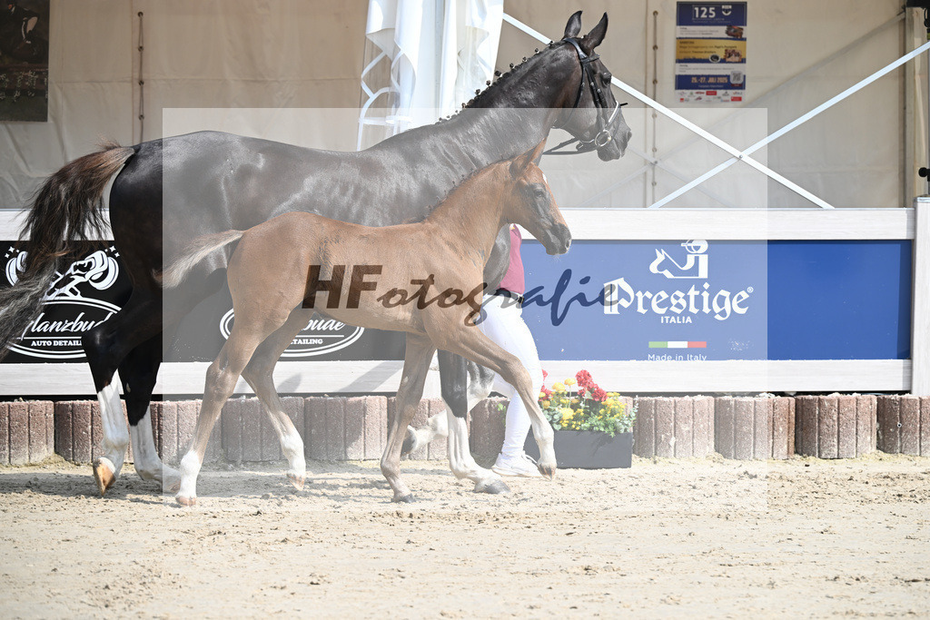 Zirocco Blue x Kannan_HF_Maier_12250171 | hf-fotografie - Realisiert mit Pictrs.com