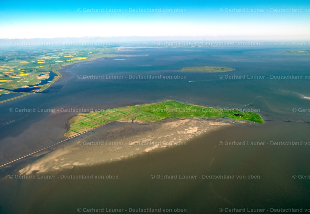 3091345 | Warft Oland, Nationalpark Schleswig-Holsteinisches Wattenmeer