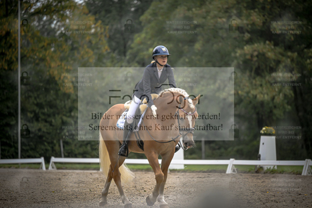 FOTO OGER | Entdecke hochwertige Reitturnierfotos von Foto Oger. Professionell, emotional und authentisch – jetzt Lieblingsmomente im Shop bestellen. - Realisiert mit Pictrs.com