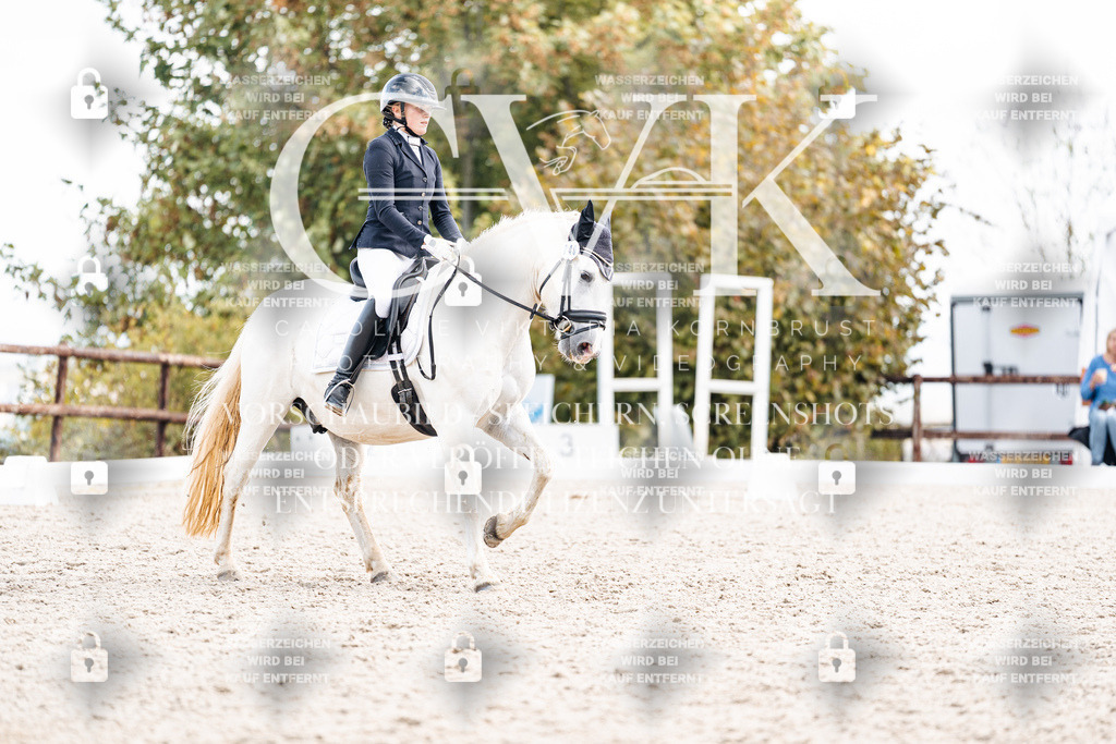 CK901565 | Turnierfotografie Pferdefotografie Trier Rheinland-Pfalz Pferdesport Reitsport Tierfotografie Sportfotografie Pferdevideo Pferdevideografie Equestrianvideography equestrianphotography  - Realisiert mit Pictrs.com