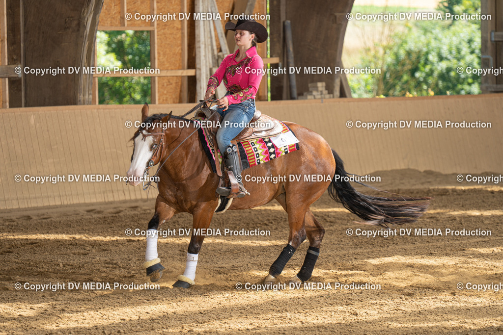 DSC00158 | dv-media-shop - Realisiert mit Pictrs.com