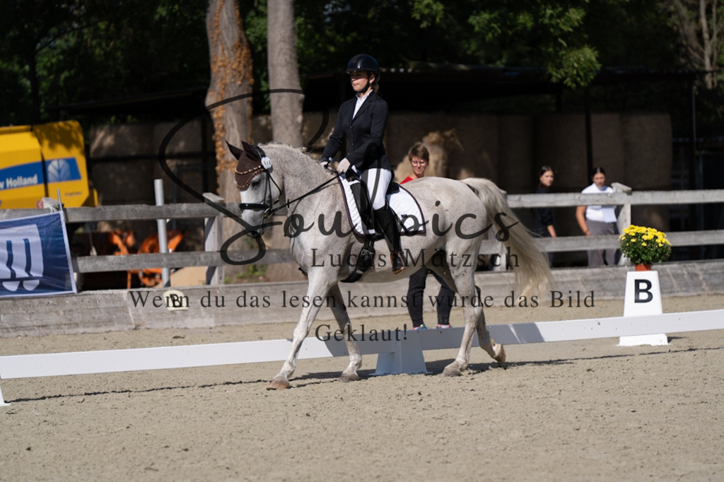A7V07046 | Turnier/Reitfotograf