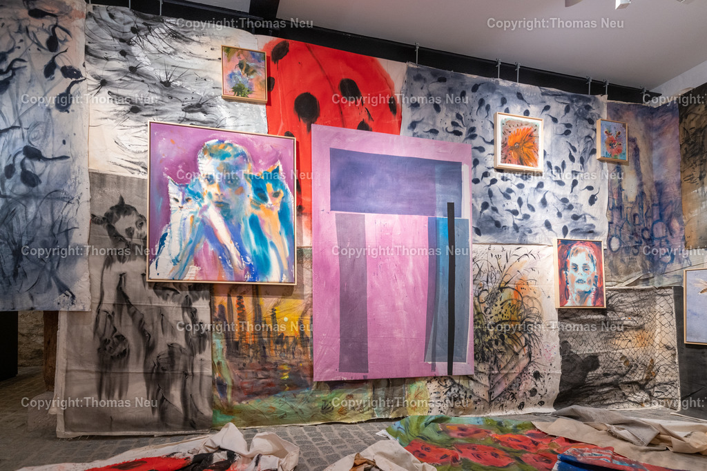 DSC_6161 | Bensheim, Museum der Stadt, Ausstellung „The last Party of Diversity“ im Museum Bensheim zeigt Werke des Künstlers Andrej Dúbravský, Bild: Thomas Neu