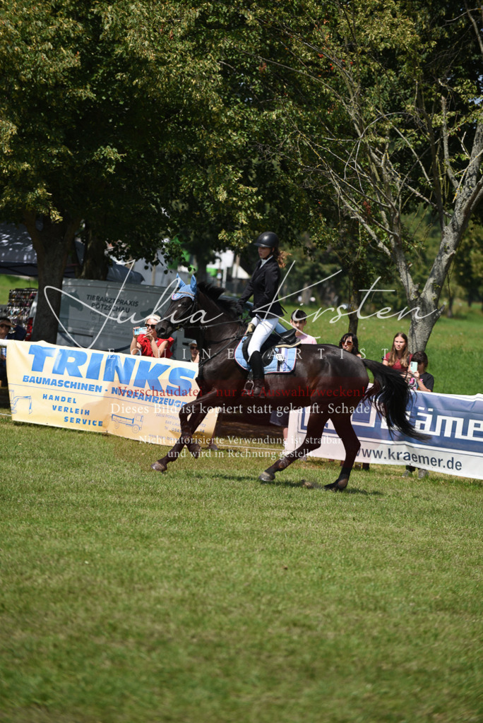 DSC_0043 | Pferde- und Turnierfotografie in Westsachsen. Pferdeportraits, Auftragszeichnungen und intuitive Kunst.