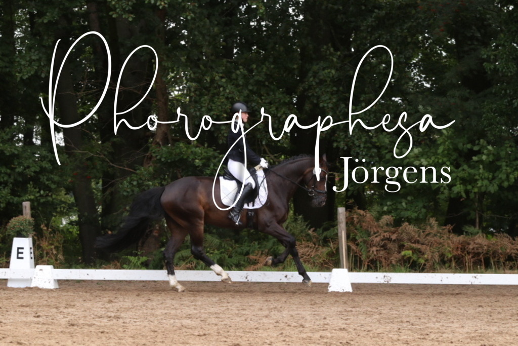 IMG_0190 | photographesa-joergens - Realisiert mit Pictrs.com