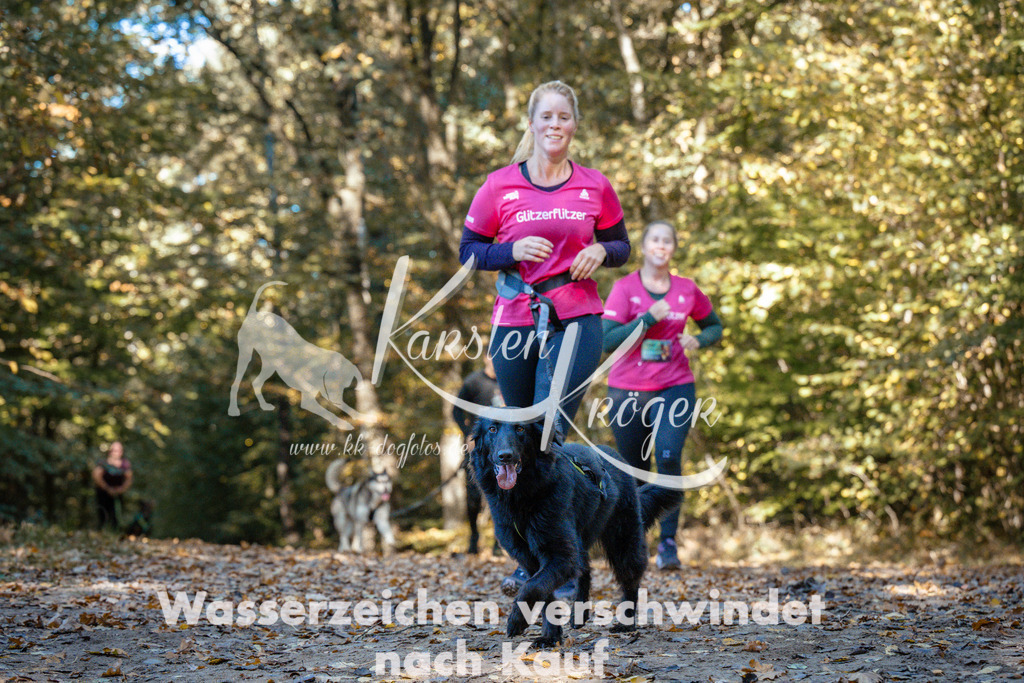 1105_ZZ91515 | kk-dogfotos