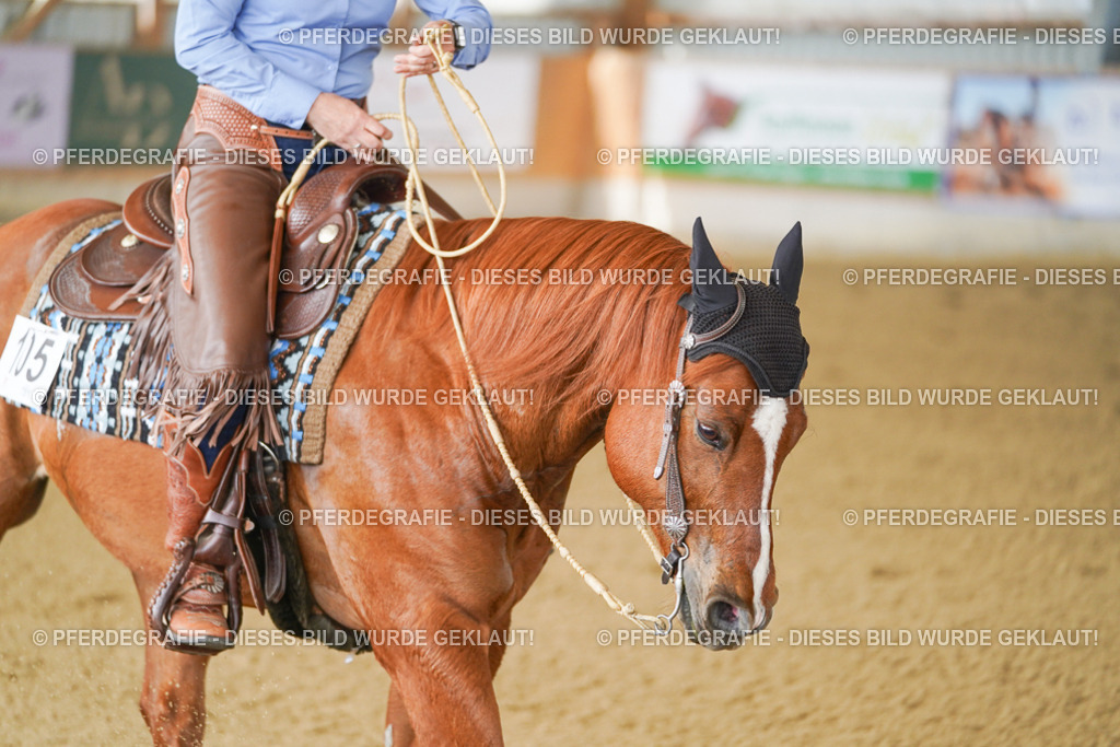 DSC02608 | Pferdegrafie