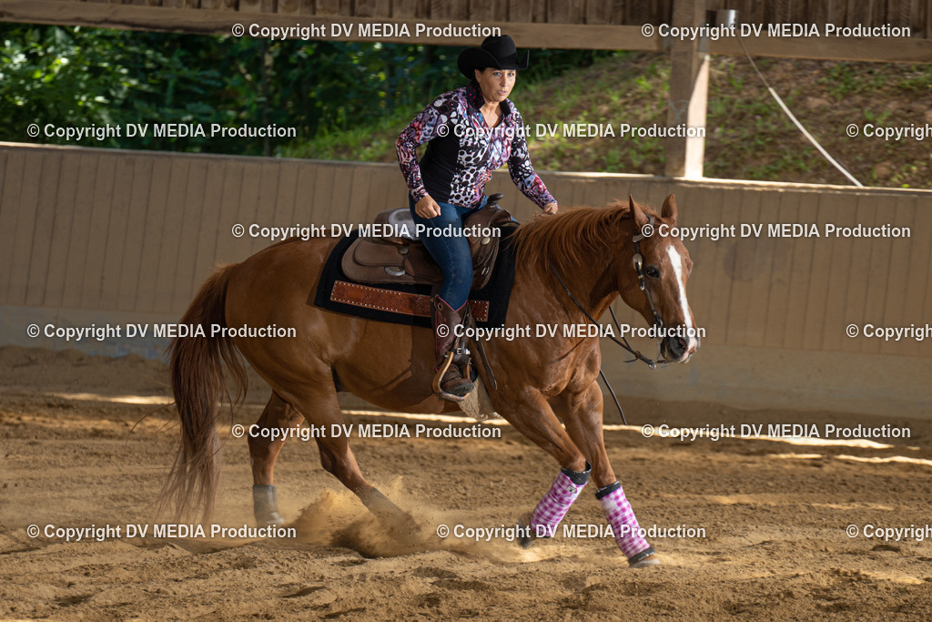 DSC00449 | dv-media-shop - Realisiert mit Pictrs.com