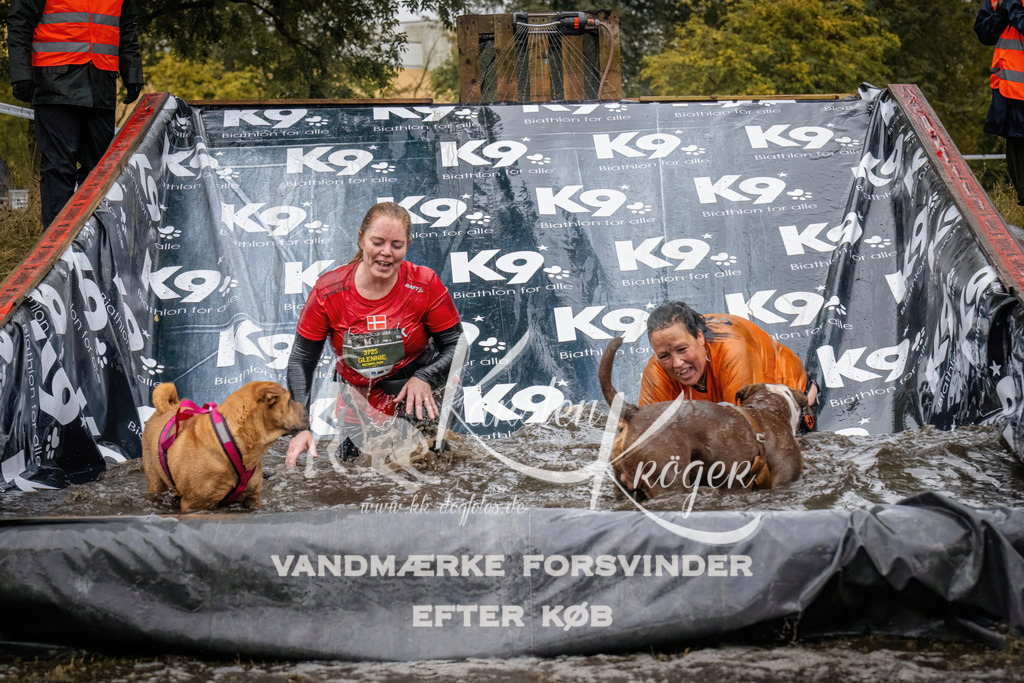 1237_ZZ90338 | kk-dogfotos