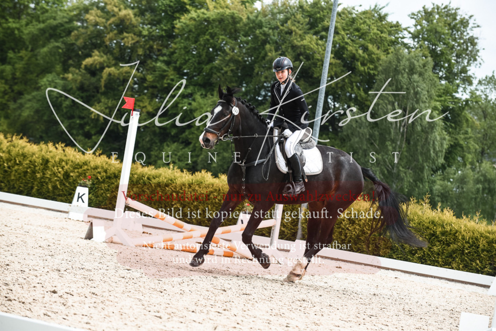 20230518_JK-Röhrsdorf-10-831 | Pferde- und Turnierfotografie in Westsachsen. Pferdeportraits, Auftragszeichnungen und intuitive Kunst.