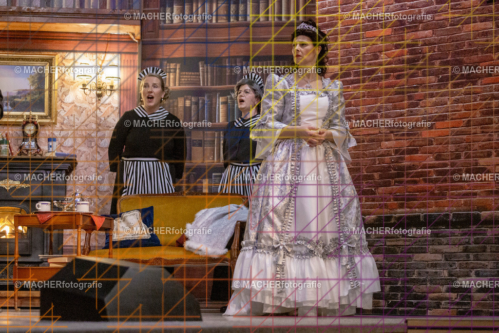 324_MFL-2025 | Portraitbilder von Regisseur; Darsteller; Techniker; Maske; Kostüme; Chor; Musiker; Bilderserie der Generalprobe und der Premierenvorstellung, Szenenbilder; Ausdrucksstudien; Bühnenüberblick; Bühnenkulissen; Pressefotos inkl. Redaktionsfoto Darstellergruppe.