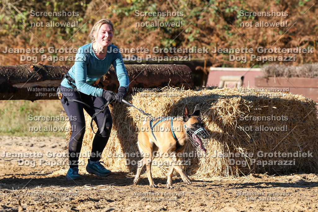 Dog Paparazzi - Strongdog 10-25-1552 | Dog Paparazzi Jeanette Grottendiek Fotografie & Videografie - Realisiert mit Pictrs.com
