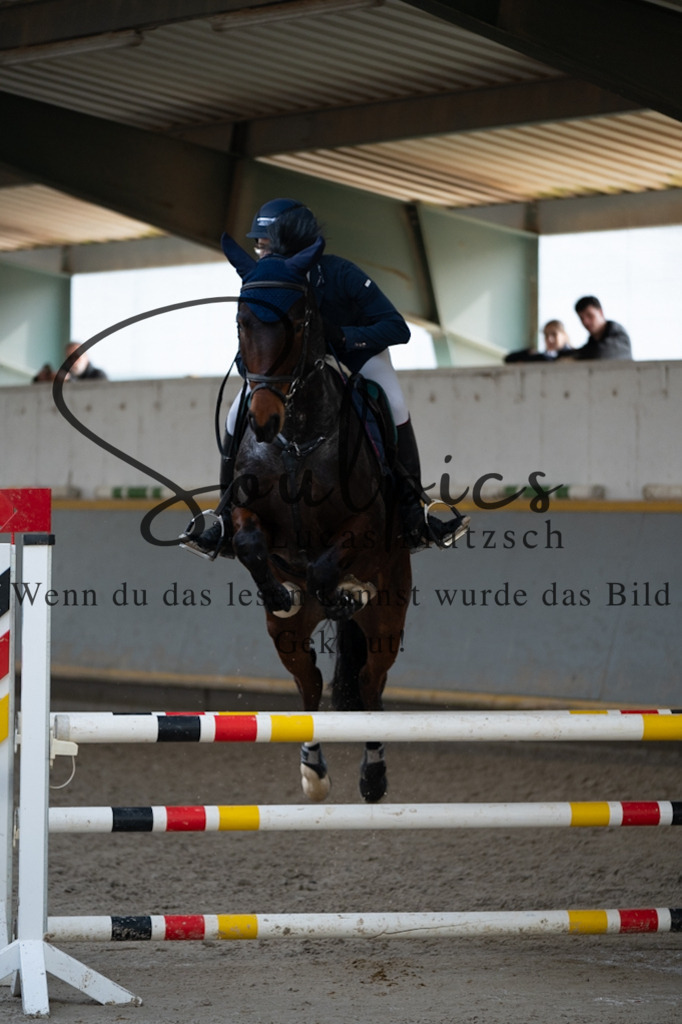 A7V08366 | Pferdefotograf