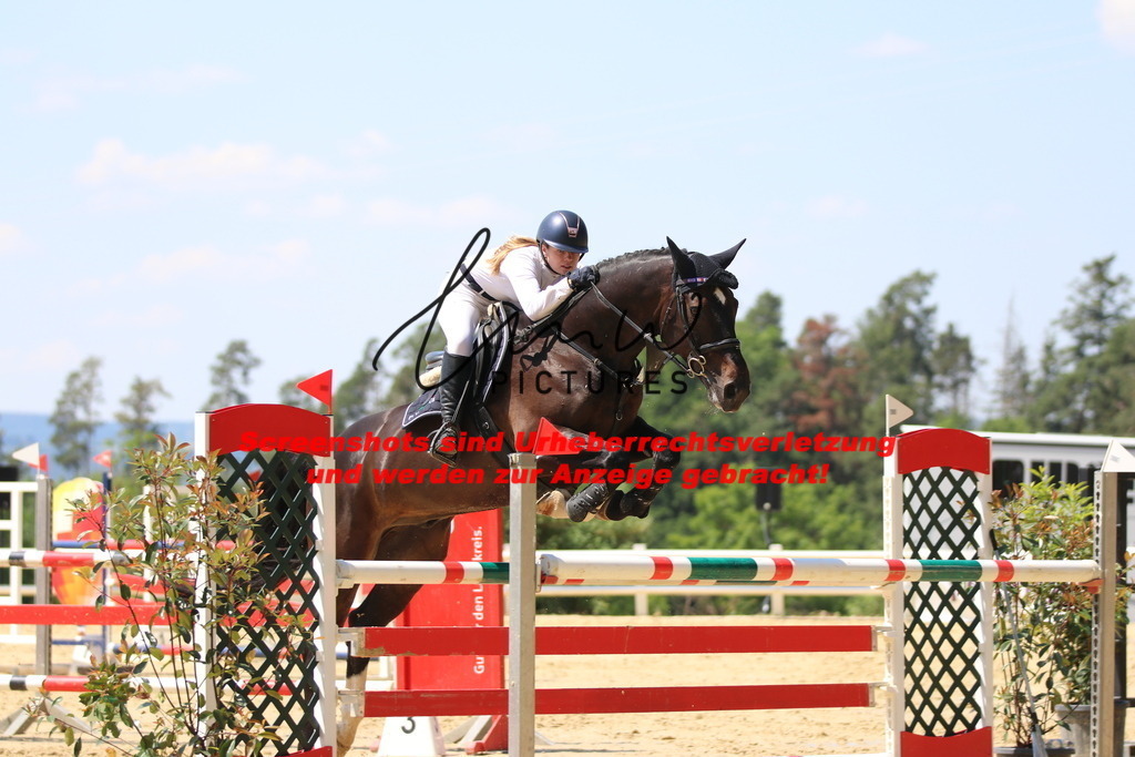 IMG_2422 | lmwpictures - Realisiert mit Pictrs.com