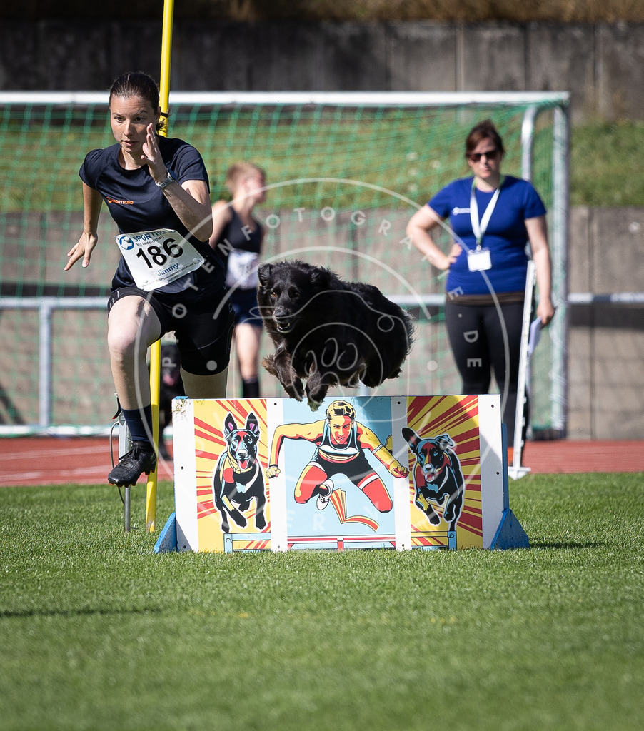 Pfotenfotografie_DV3A0382 | Hundefotografie, Tierfotograf, Pfotenfotografie, Fotoshooting Hund, Hunde Portrait, Hundesport, Hundeportraits, Heideshooting, Hunde, Sportfotograf, Hundefotograf, Turnierhundsport, THS,  - Realisiert mit Pictrs.com