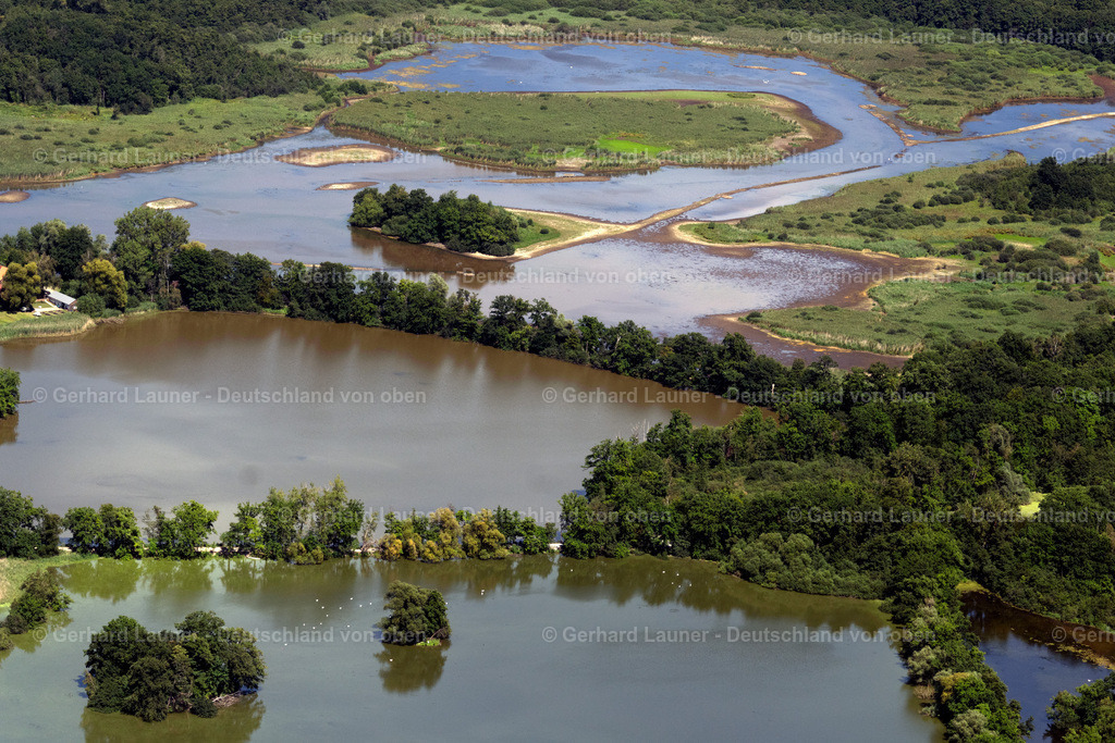 4036225 | BRAUNSCHWEIG 31.07.2020 Teichanlagen zur Fischzucht Fischereibetriebe Klaus Lübbe in Braunschweig im Bundesland Niedersachsen, Deutschland. // Ponds for fish farming Fischereibetriebe Klaus Luebbe in Brunswick in the state Lower Saxony, Germany. Foto: Gerhard Launer