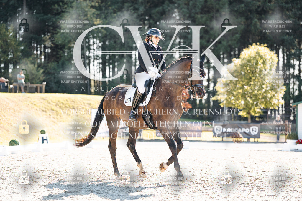 CK906162 | Turnierfotografie Pferdefotografie Trier Rheinland-Pfalz Pferdesport Reitsport Tierfotografie Sportfotografie Pferdevideo Pferdevideografie Equestrianvideography equestrianphotography  - Realisiert mit Pictrs.com