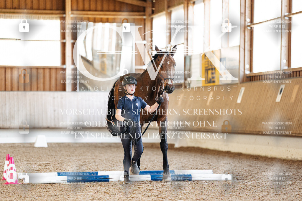 CK905774 | Turnierfotografie Pferdefotografie Trier Rheinland-Pfalz Pferdesport Reitsport Tierfotografie Sportfotografie Pferdevideo Pferdevideografie Equestrianvideography equestrianphotography  - Realisiert mit Pictrs.com