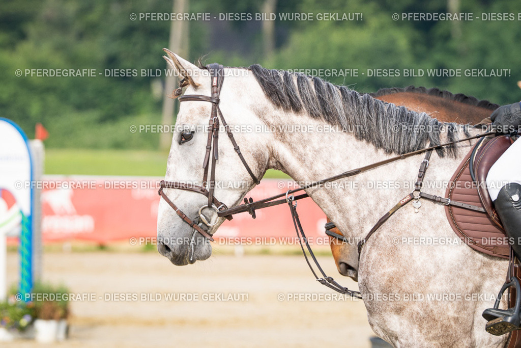 DSC09090 | Pferdegrafie