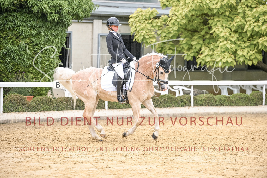 Schugtsche-Aluta25-41.Amat-Dressurprf.A_-533 | Schugtsche Fotografie - Realisiert mit Pictrs.com