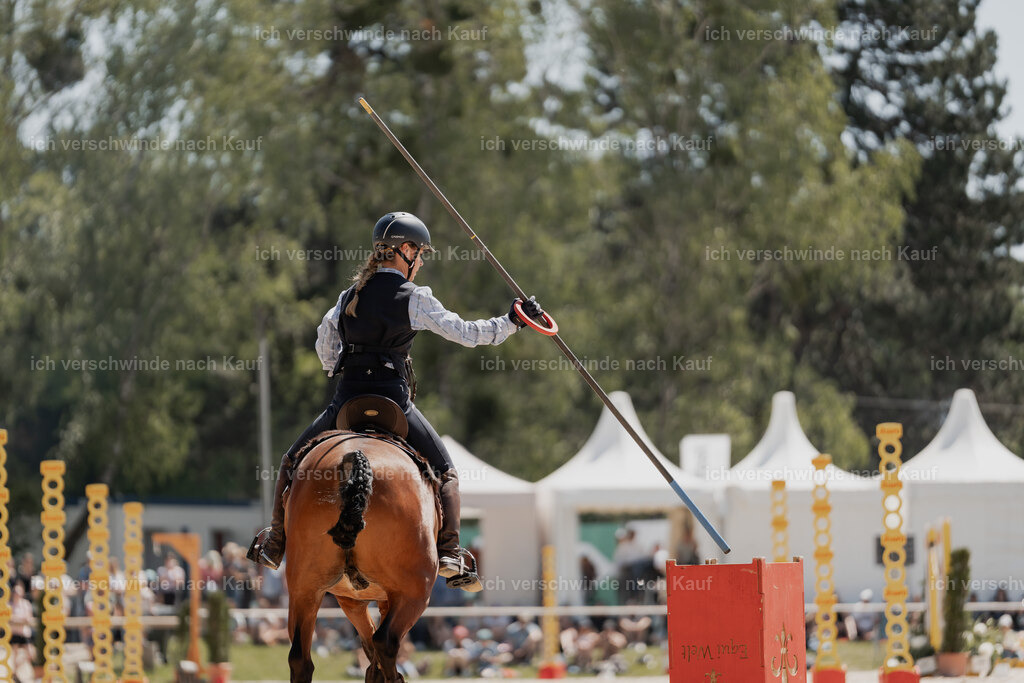 WE_SP_Stoib_343_PI2025_1789 | Pferd International München 2025