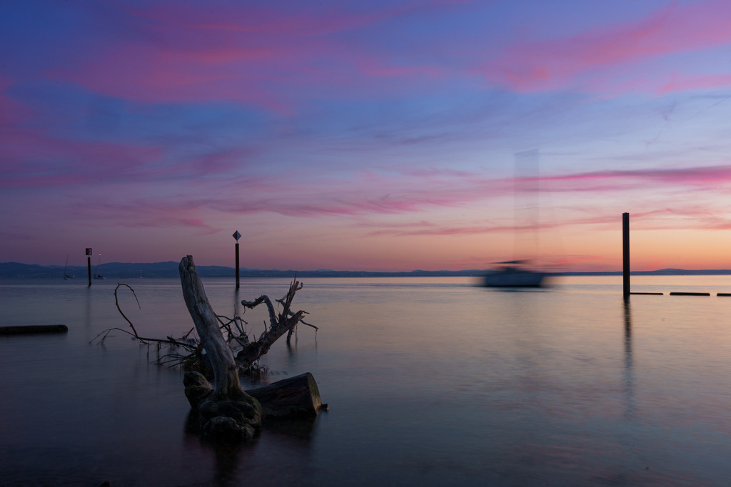 2022_06_14 A7402367 | bridgeman - Realisiert mit Pictrs.com