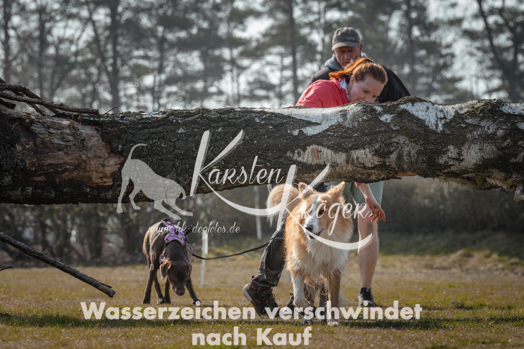 1110_ZZ95018 | kk-dogfotos