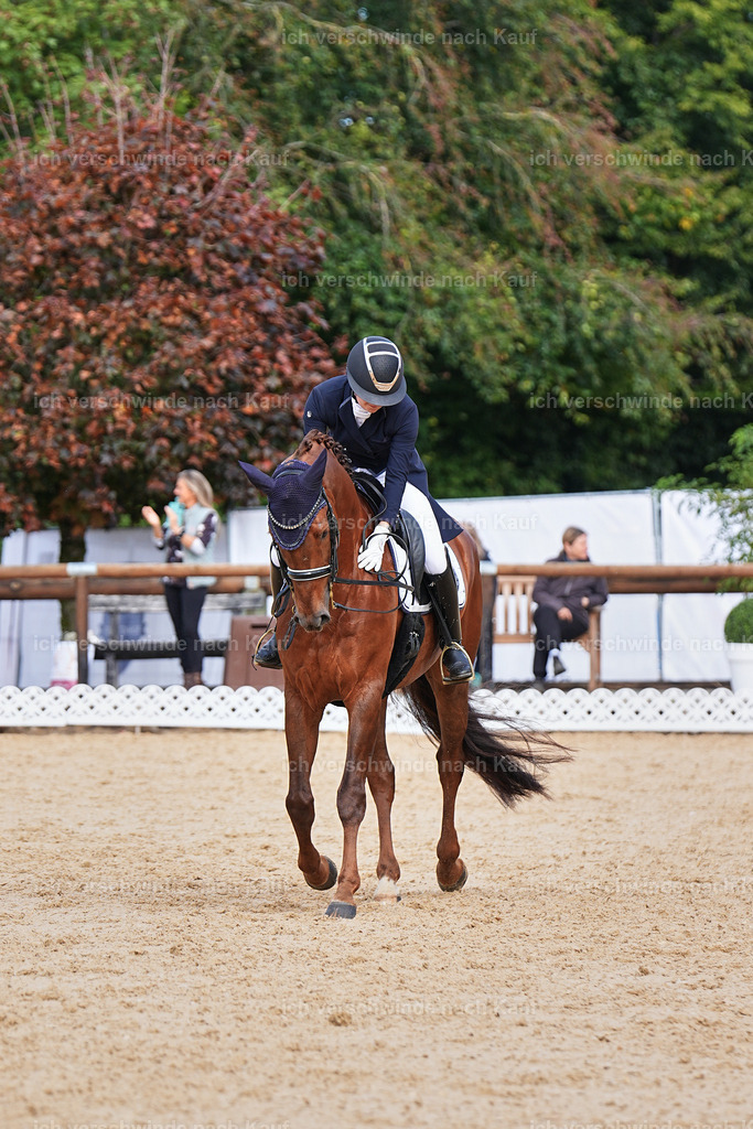 6-143-AMATUER-DRESSUR S_  -Marixx-3696 | working equitationturnier fotograf videograf stoibphotography marixx film working equitation deutschland reitsport turnierfotografie eventfotografie equestrian events