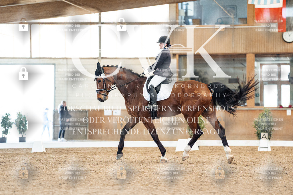 CK909146 | Turnierfotografie Pferdefotografie Trier Rheinland-Pfalz Pferdesport Reitsport Tierfotografie Sportfotografie Pferdevideo Pferdevideografie Equestrianvideography equestrianphotography  - Realisiert mit Pictrs.com