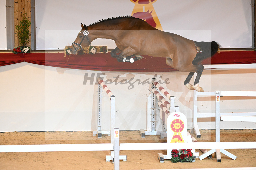 Kat-Nr. 23 Hardrock Z_VDL Stud_1230949 | hf-fotografie - Realizzato con Pictrs.com