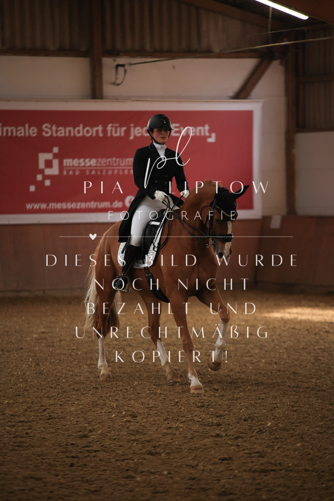 IMGT4633 | pl-fotografie