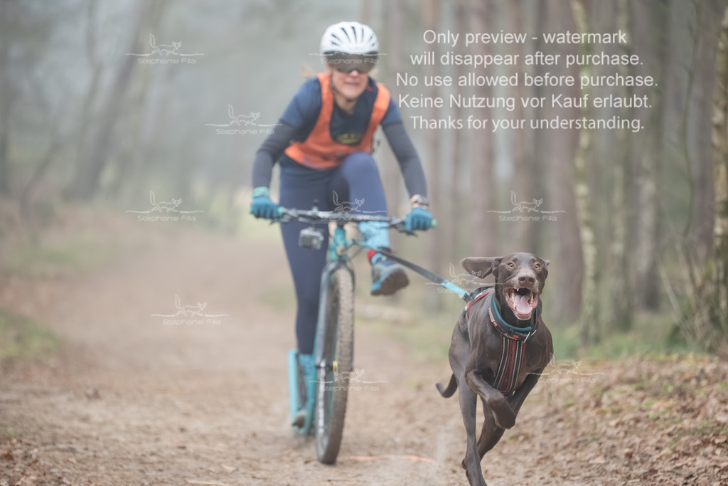 Scooter1-113 | stephaniefillaphotographie - Realisiert mit Pictrs.com