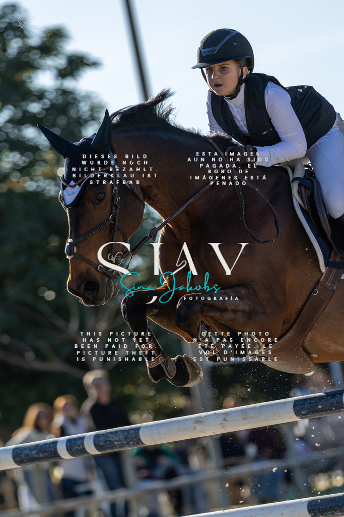 IMG_2213 | s-jay-photography - Realisiert mit Pictrs.com