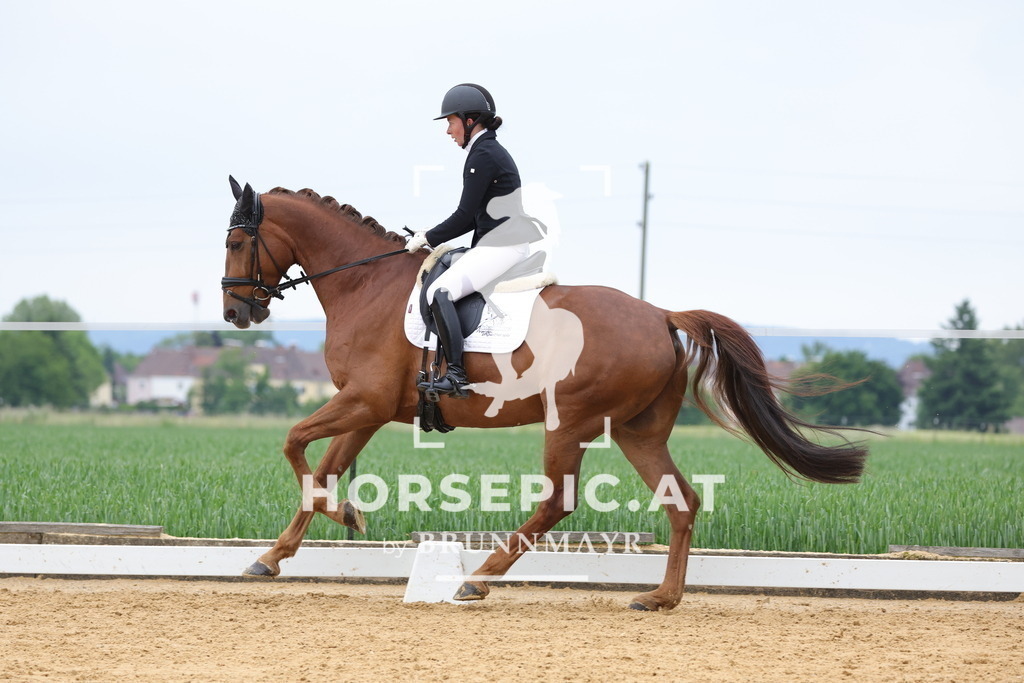 0P6A4916 | Willkommen bei Brunnmayr - Design & Fotografie – Ihrem Spezialisten für Reitturniere und Pferdeveranstaltungen in Oberösterreich, Salzburg und Bayern! Seit über 17 Jahren sind wir leidenschaftlich dabei.