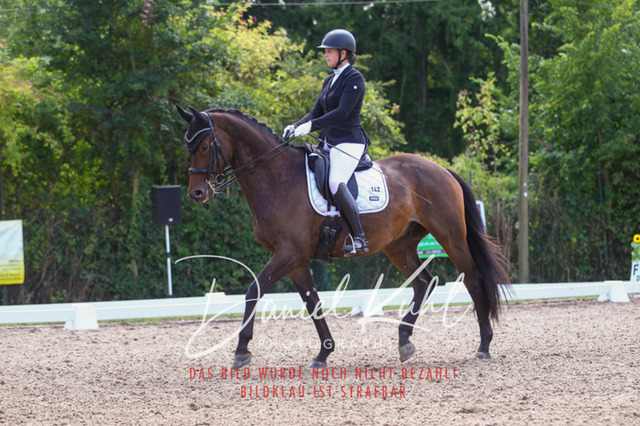 DKP40948 | Turniersportfotografie; Pferdefotografie; Dressurfotografie