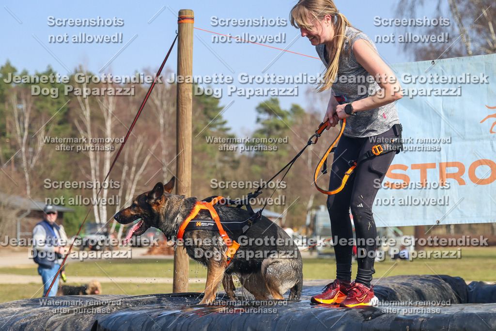 Dog Paparazzi - Strongdog North Mrz26-2977 | Dog Paparazzi Jeanette Grottendiek Fotografie & Videografie - Realisiert mit Pictrs.com
