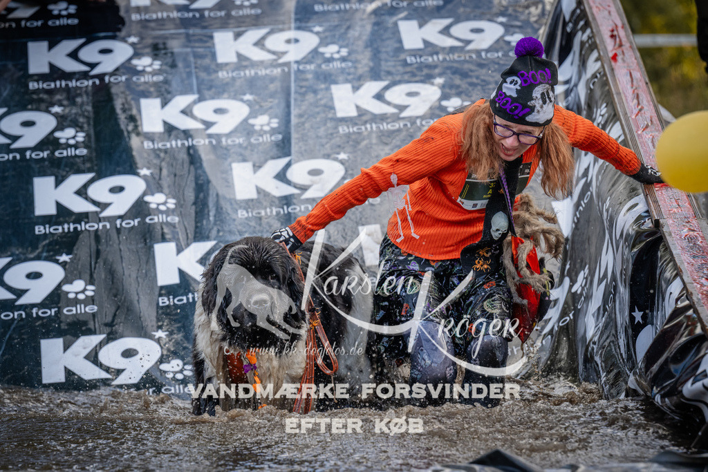 1533_ZZ94872 | kk-dogfotos