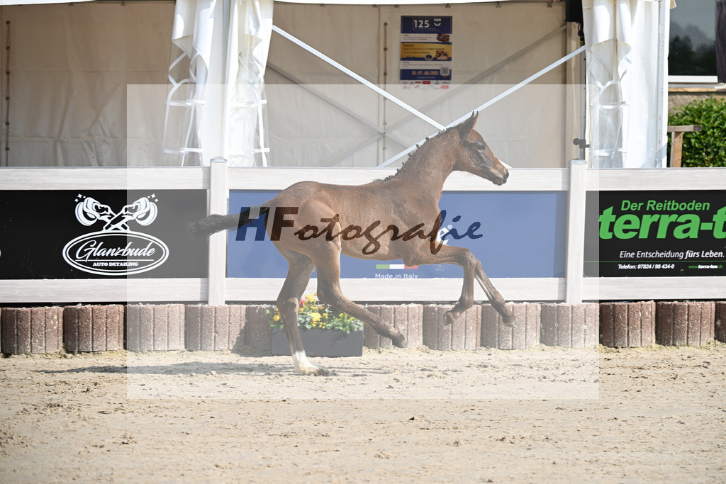 Sane x Fuerst Romancier_SF_Fritz_12250080 | hf-fotografie - Realisiert mit Pictrs.com