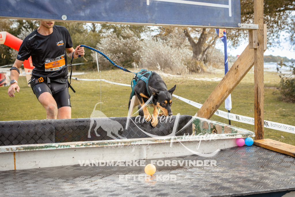 1349_ZZ92291-2 | kk-dogfotos