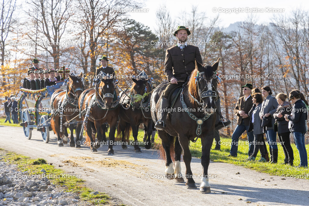 LBT24-1562 | foto-bettina-krinner - Realisiert mit Pictrs.com