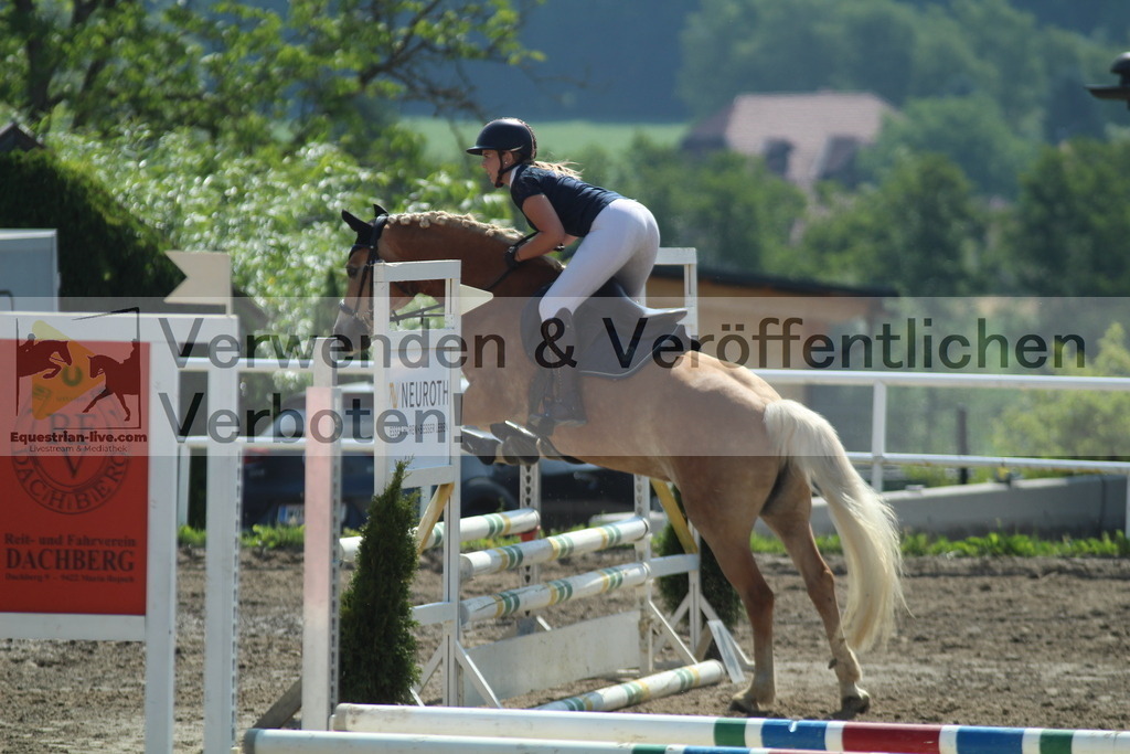 IMG_3354 | equestrian-live-com