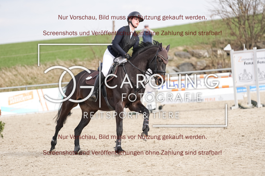 DSC06505 | Late_entry_Springturnier_Bad_Wurzach, Diara_Keeps_ZL, Selina_Nisch